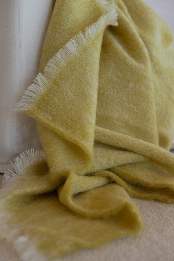 plaid BRUN de VIAN-TIRAN – Image 3